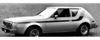 1973-75 AMC Americian Motors Gremlin X Side Stripe Kit